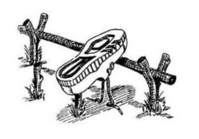 Παπουτσοθήκες