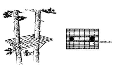 Πλατφόρμα σε δέντρο