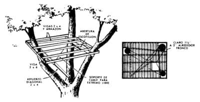 Πλατφόρμα σε δέντρο