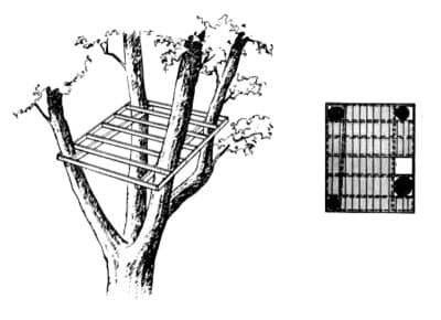 Πλατφόρμα σε δέντρο