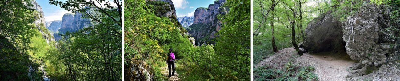 Ζαγόρι / Ημέρα 2η Μονοδένδρι Φαράγγι Βίκου Βιτσικό (Βίκος)