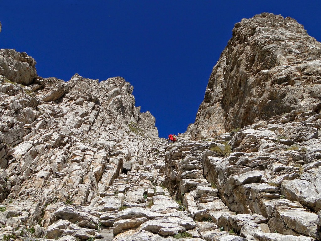 Όλυμπος. Γκορτσιά - Πετρόστρουγκα - Σκούρτα - Οροπέδιο Μουσών. Καταφύγιο Πετρόστρουγκα. Mini Όλυμπος : Οροπέδιο Μουσών Λούκι Μύτικας & Επιστροφή