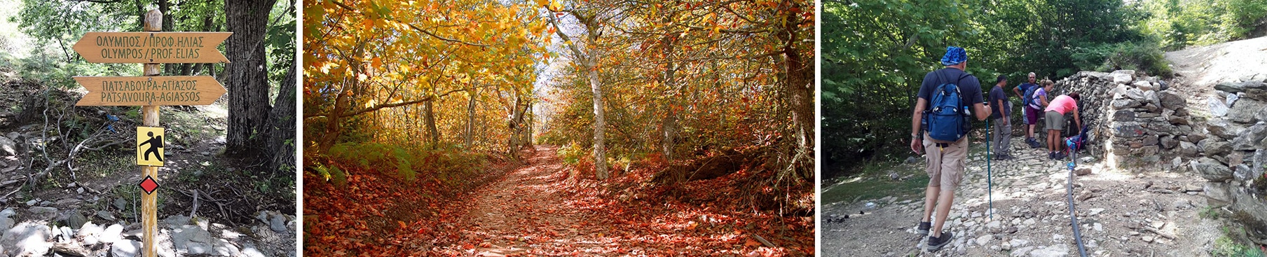 Λέσβος : Αγιάσος Όλυμπος