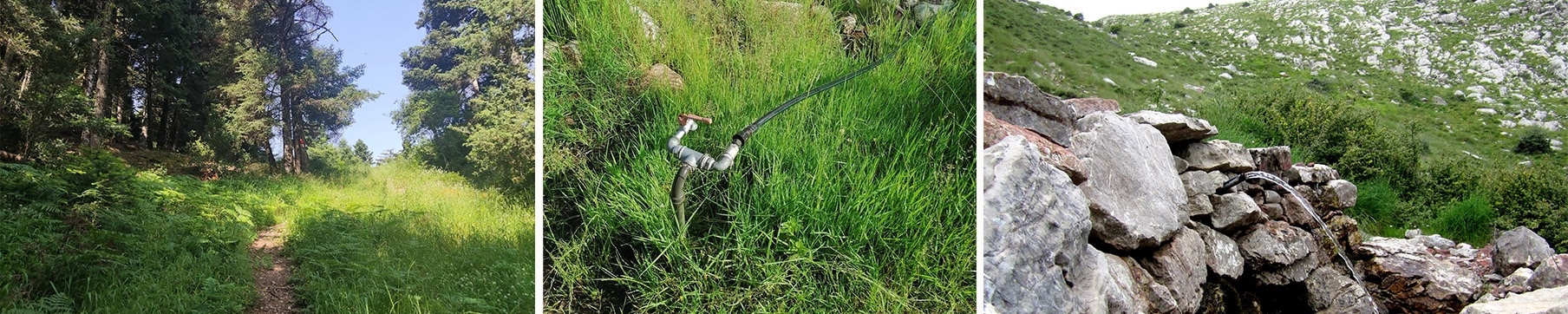 Ερύμανθος Μ2Α