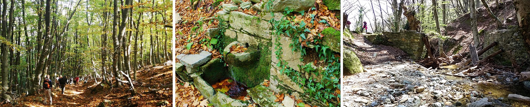 Πήλιο : Μηλιές Τσαγκαράδα