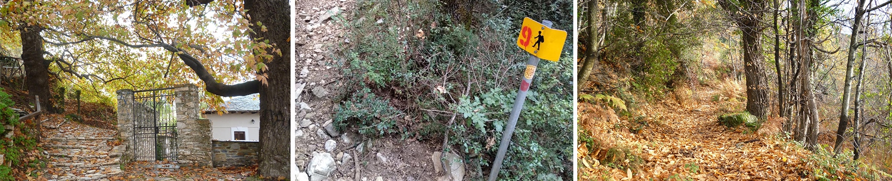 Πήλιο : Μηλιές Τσαγκαράδα