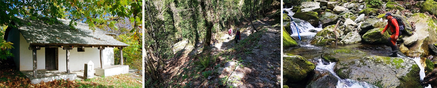 Πήλιο : Μηλιές Τσαγκαράδα