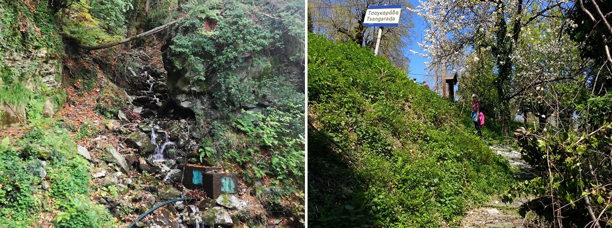 Πήλιο : Μηλιές Τσαγκαράδα