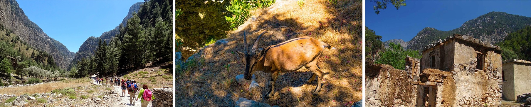 Κρήτη : Φαράγγι Σαμαριάς