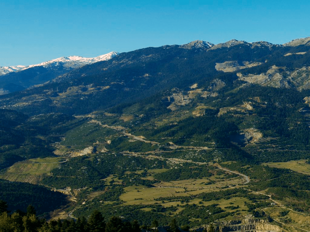 Parnassos_Agoriani parnassos agoriani