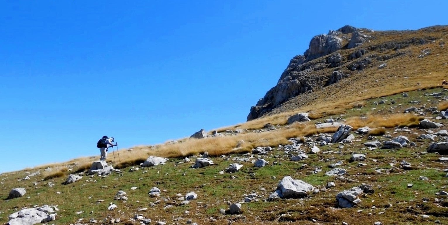 Βαρδούσια: Αθανάσιος Διάκος (άνω Μουσουνίτσα) Καταφύγια (Πιτιμάλικο) Κορυφή Κόρακας