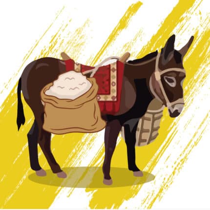 Ο Γάιδαρος που Μετέφερε Αλάτι